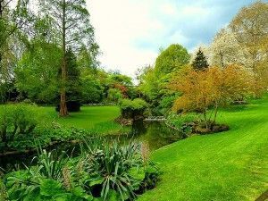 Hyde park ,londres