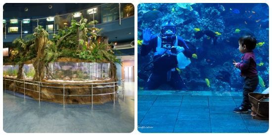 actividades en barcelona este fin de semana